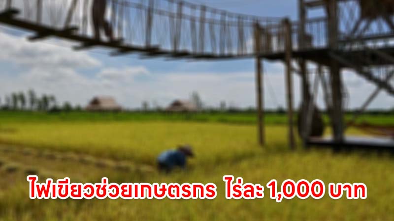 ไฟเขียวช่วยเกษตรกร นาปี 2568/69 และนาปรังปี 2568 ไร่ละ 1,000 บาท ครัวเรือนละไม่เกิน 10 ไร่
