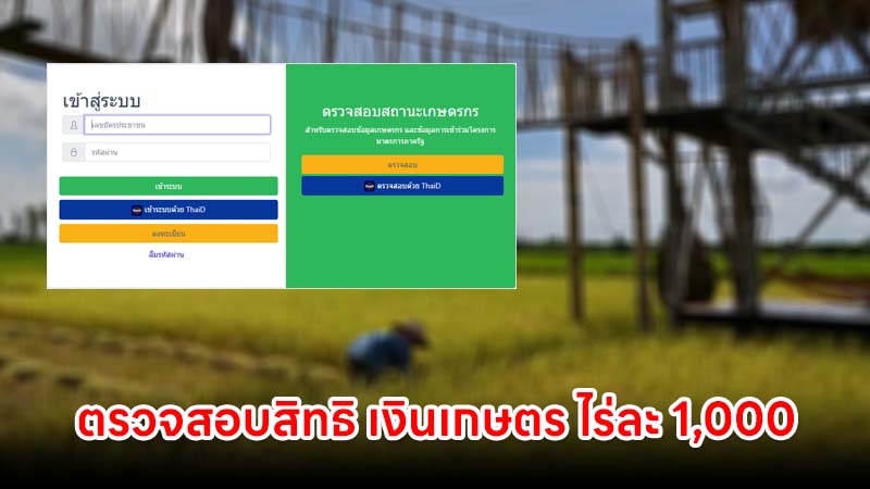 วิธีตรวจสอบสิทธิ เงินเยียวยาเกษตรกร ไร่ละ 1,000 บาท