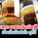 ราชกิจจาฯ ประกาศ! วันพระ ขายเหล้าเบียร์ ได้แล้ว! ดูเงื่อนไขที่นี่