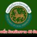 กรมส่งเสริมการปกครองท้องถิ่น รับสมัครงาน 45 อัตรา